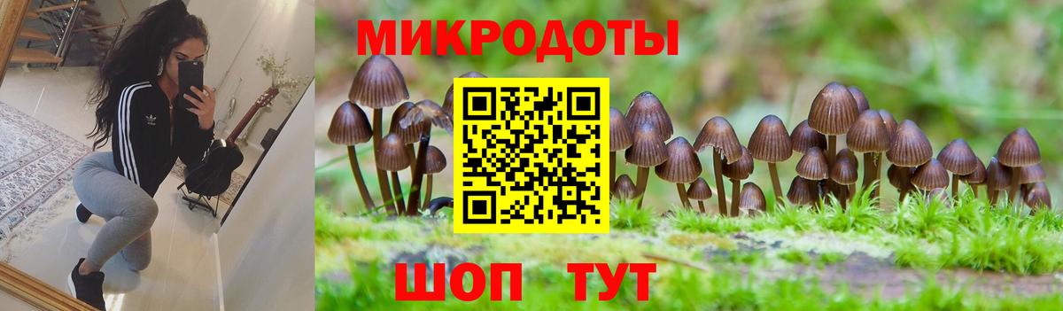 Псилоцибиновые грибы мицелий  Псилоцибиновые грибы Magic Shrooms  Вход с VPN  Боровичи 