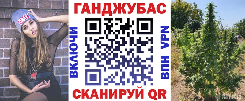 купить наркоту  Боровичи  Бошки марихуана индика 